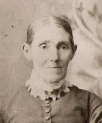 Elsa Ann Curtis (1826 - 1892) Profile
